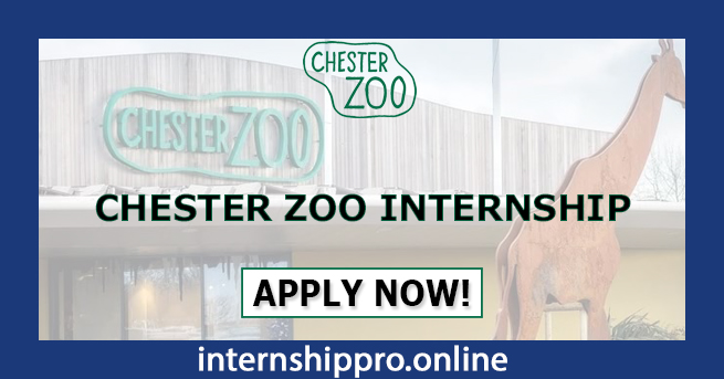 Chester Zoo Internship